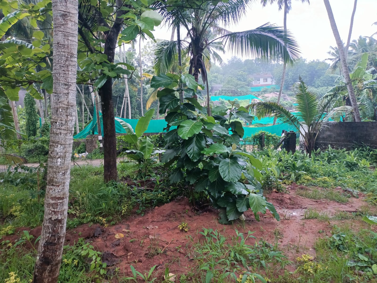 25 Cent Residential Plot For Sale In Mangadu