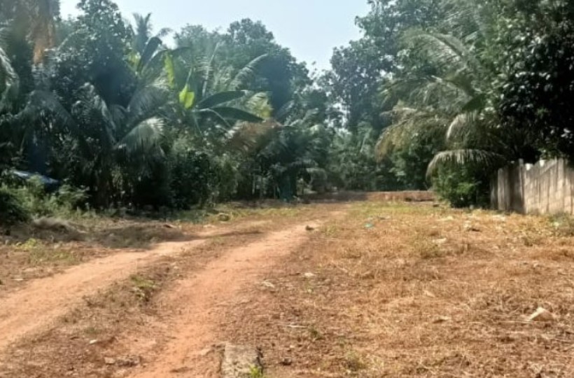 26 Cent Residential  Plot for sale in  Kadayalmoodu