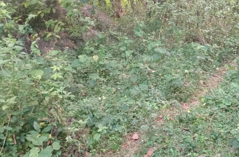 26 Cent Residential Plot for sale in Kaliakkavilai