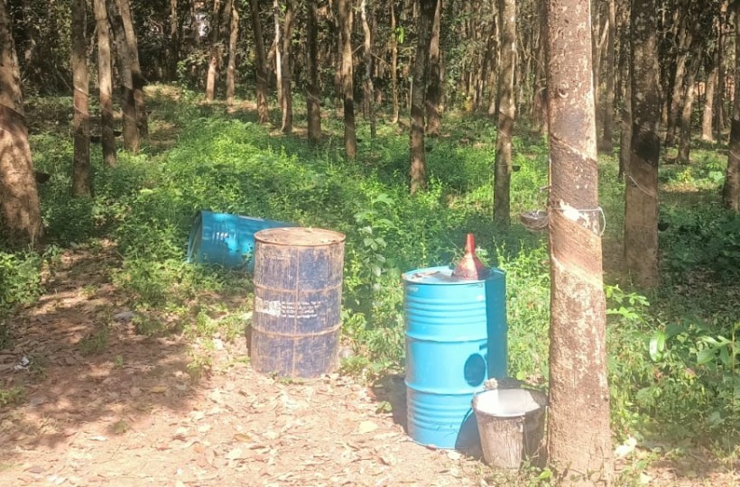 2 Acre 50 Cent Residential Plot For Sale In Kuttaicode (Melpuram To Cheruvalloor Road )