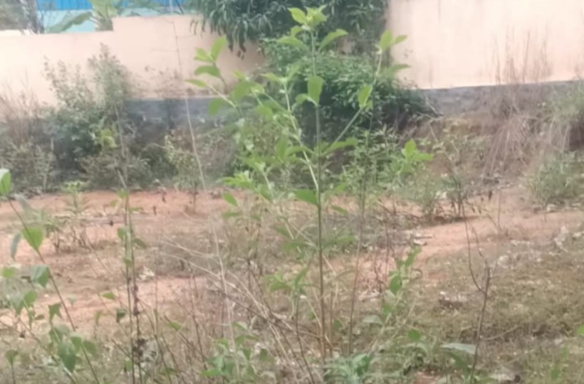 30 Cent Residential Plot for sale in Thazhavilai
