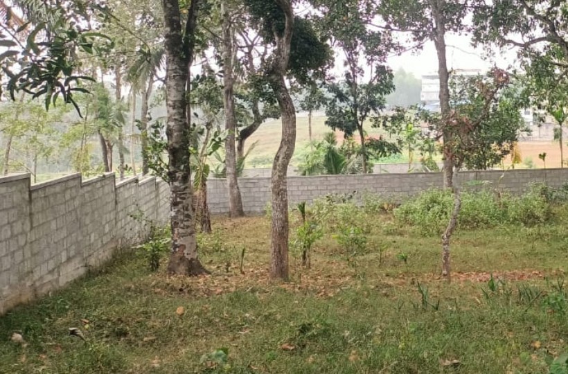 32 Cent Residential Plot For Sale In Kulasekaram to Thuckalay Road