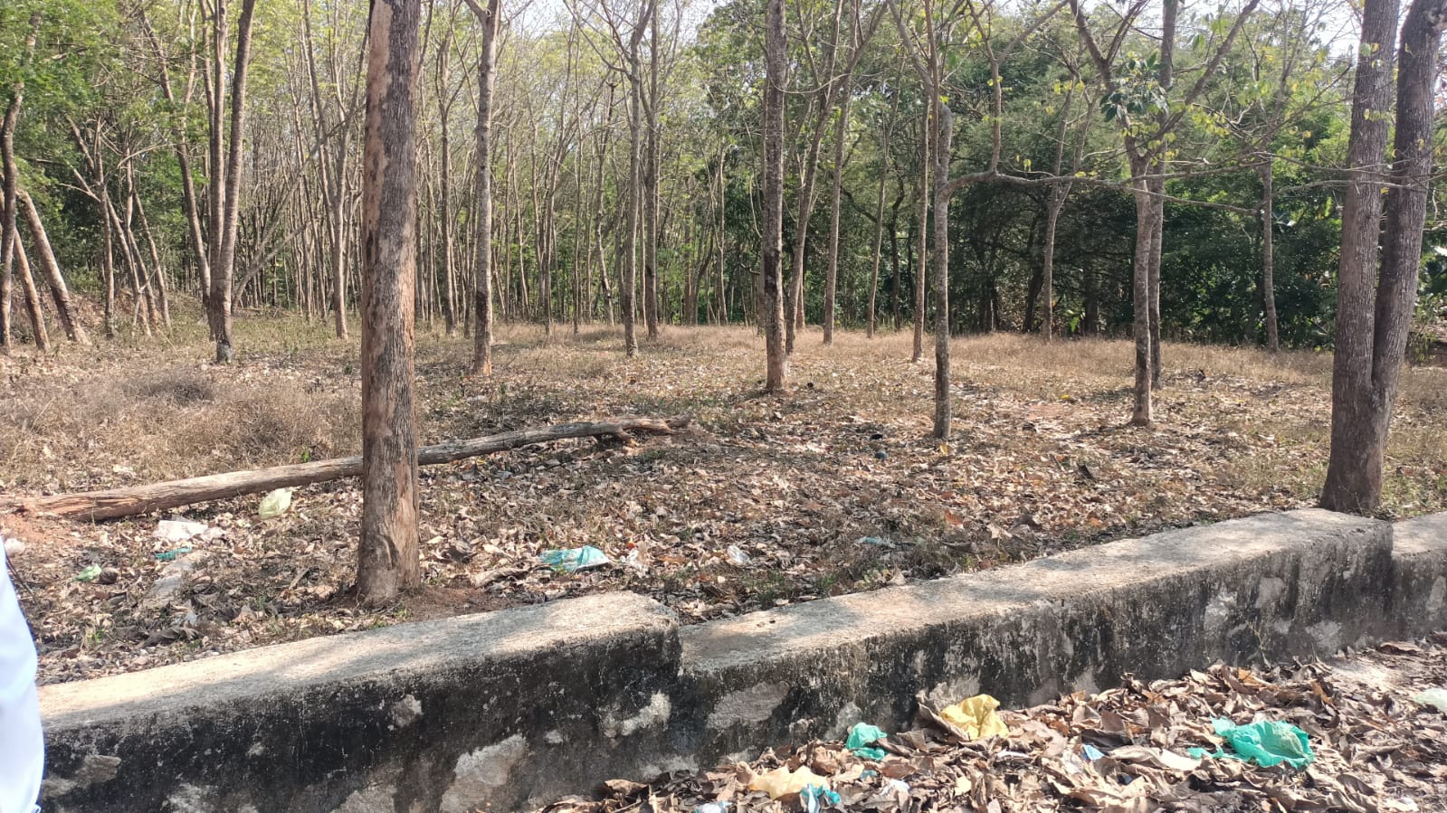 38 Cent Residential Plot for sale in Vencode