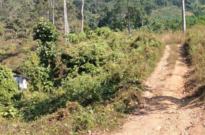 4.50 Acres Agriland (Rubber Trees) for sale in Kattuva