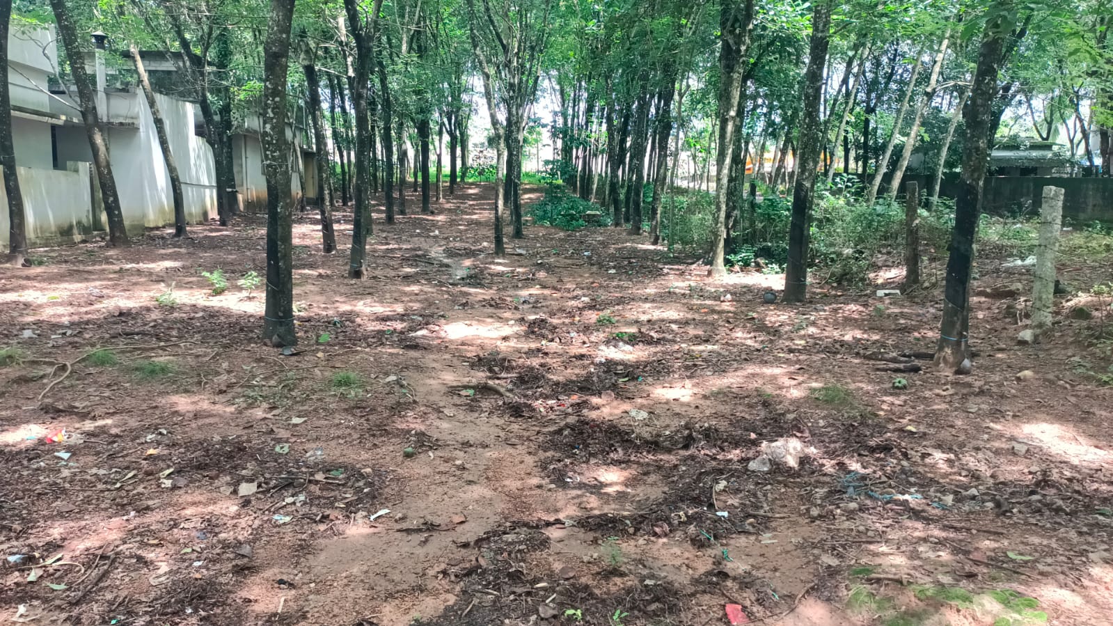 40 Cent Residential Plot for sale in Kaliyal
