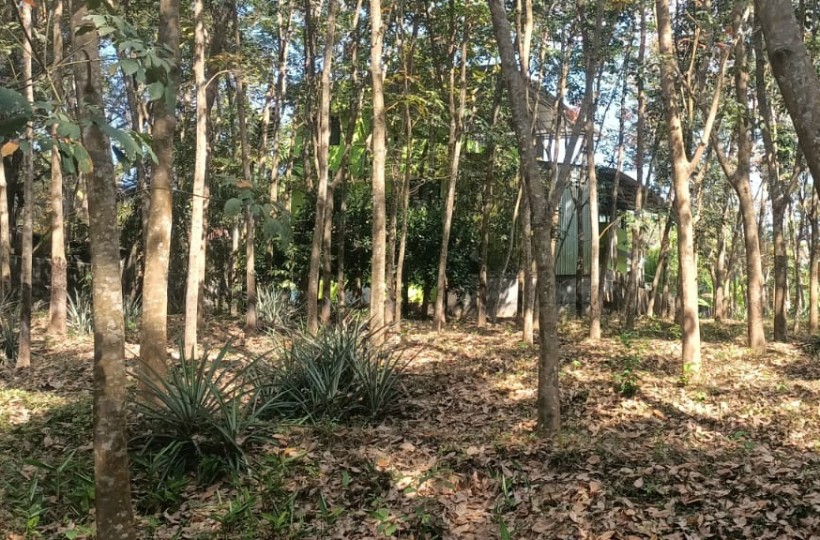 40 Cent  Residential Plot for sale in Puthenchanthai