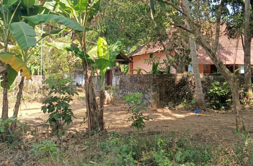 48 Cent Residential Plot For Sale In Thickurichy