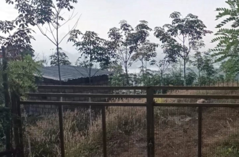 4 Acres 60 Cent Agriland(Rubber Trees) for sale in Pathukani