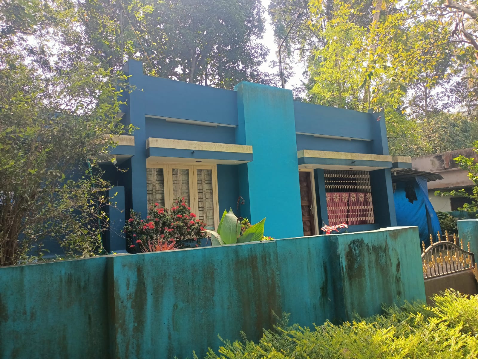 55 Cent Agriland(Rubber Trees) with (2BHK House,8 cent) for sale in Arukani