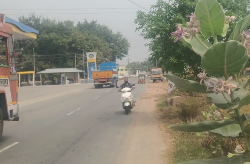 5 Acres Residential Plot for sale in Alur