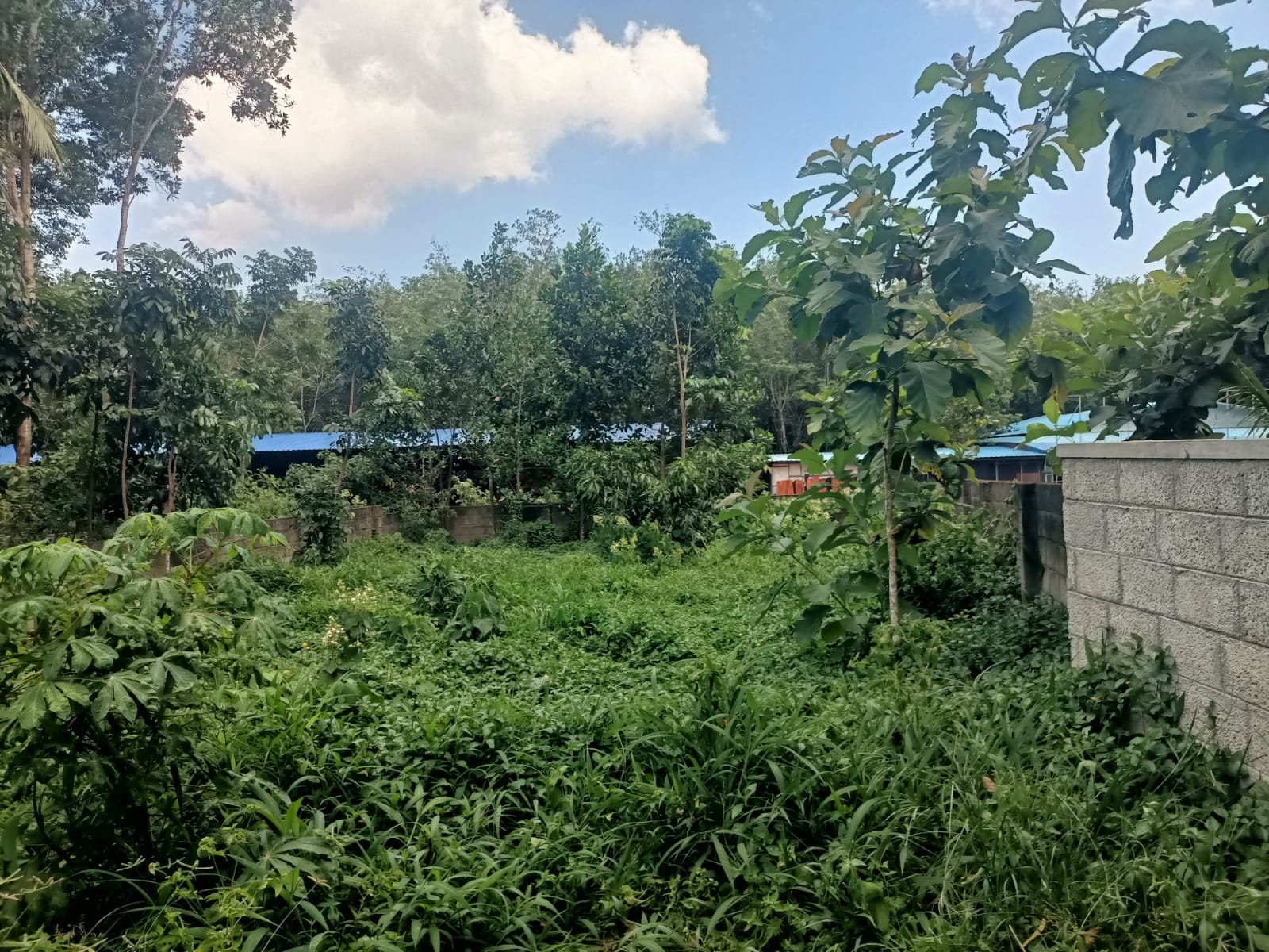 5 Cent Residential Plot For Sale In Aluvilai-Tholayavattam
