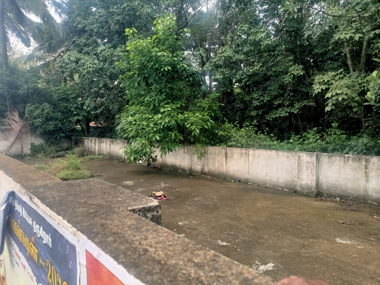 60.50 Cent Residential Plot for sale in Karungal