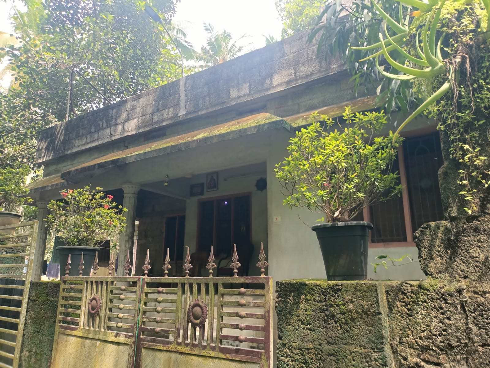 6 Cent 3BHK House (1400 sqft) for sale in Kaliyal