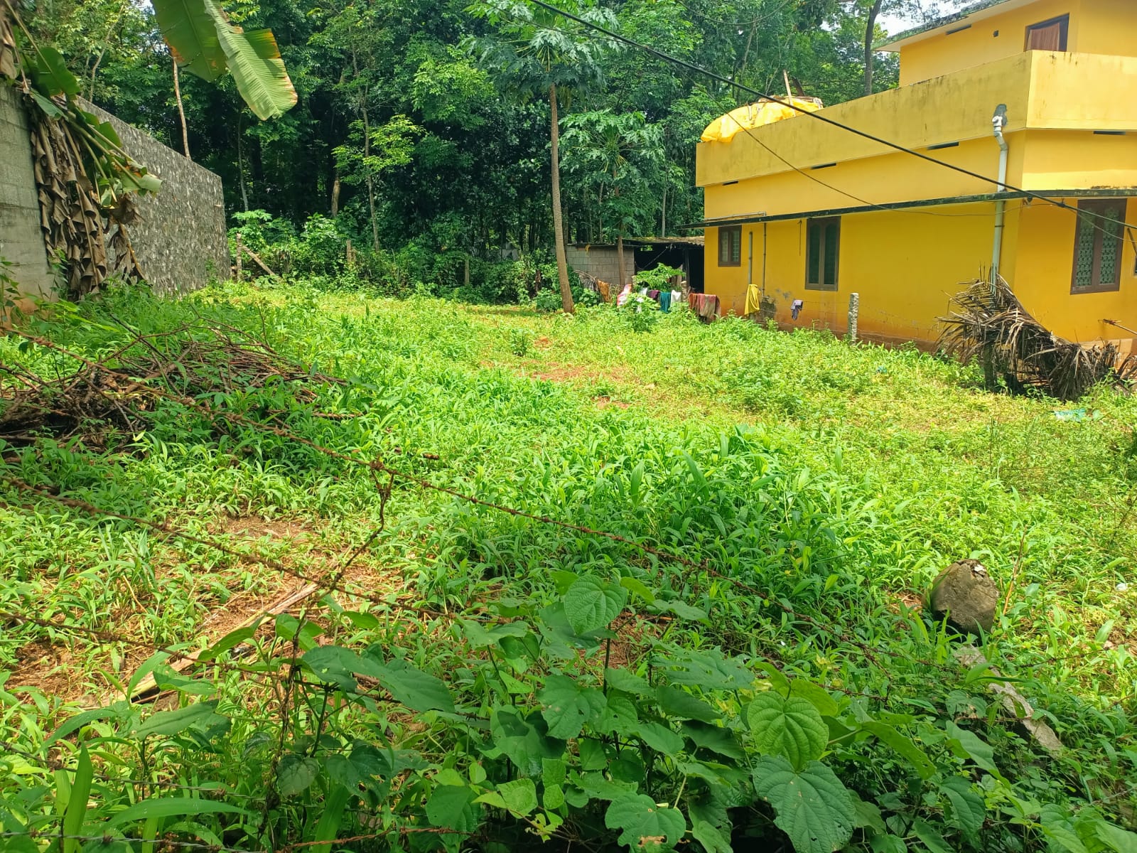 6 Cent Residential plot for sale in Kuzhithurai (Near to Court)