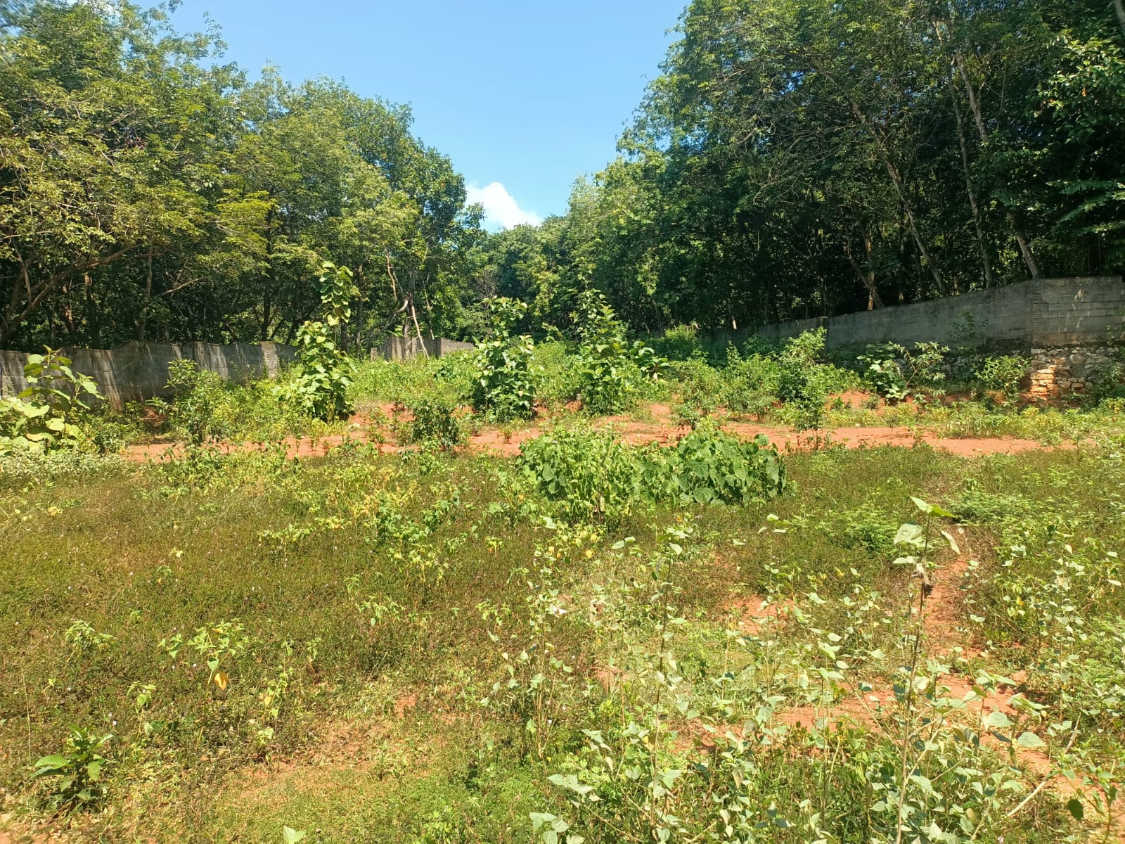 70 Cent Residential Plot for sale in Thiruvithancode