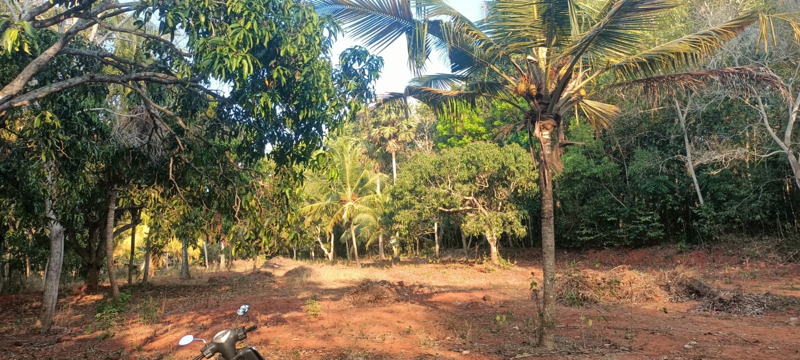 75 Cent Residential Plot for sale in Vettuvilai-Vencode