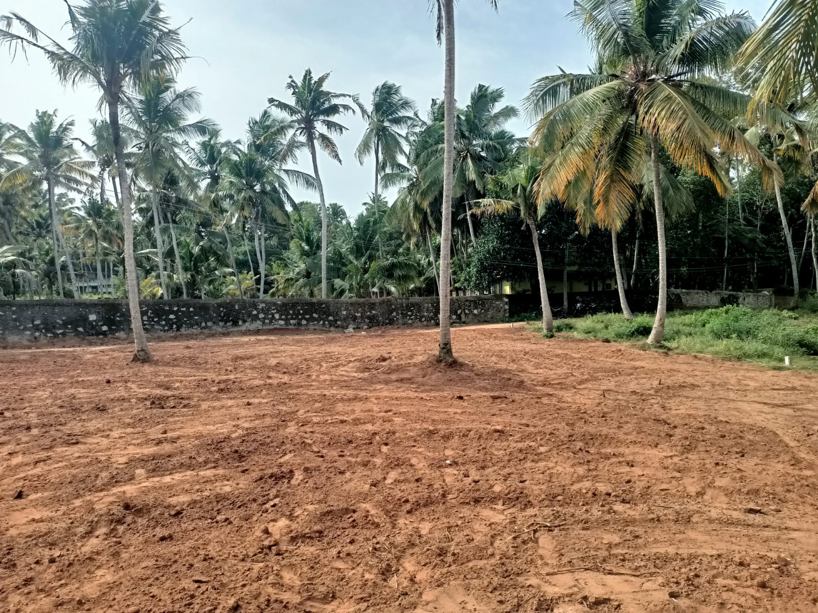 80 cent Residential plot for sale in Amsi