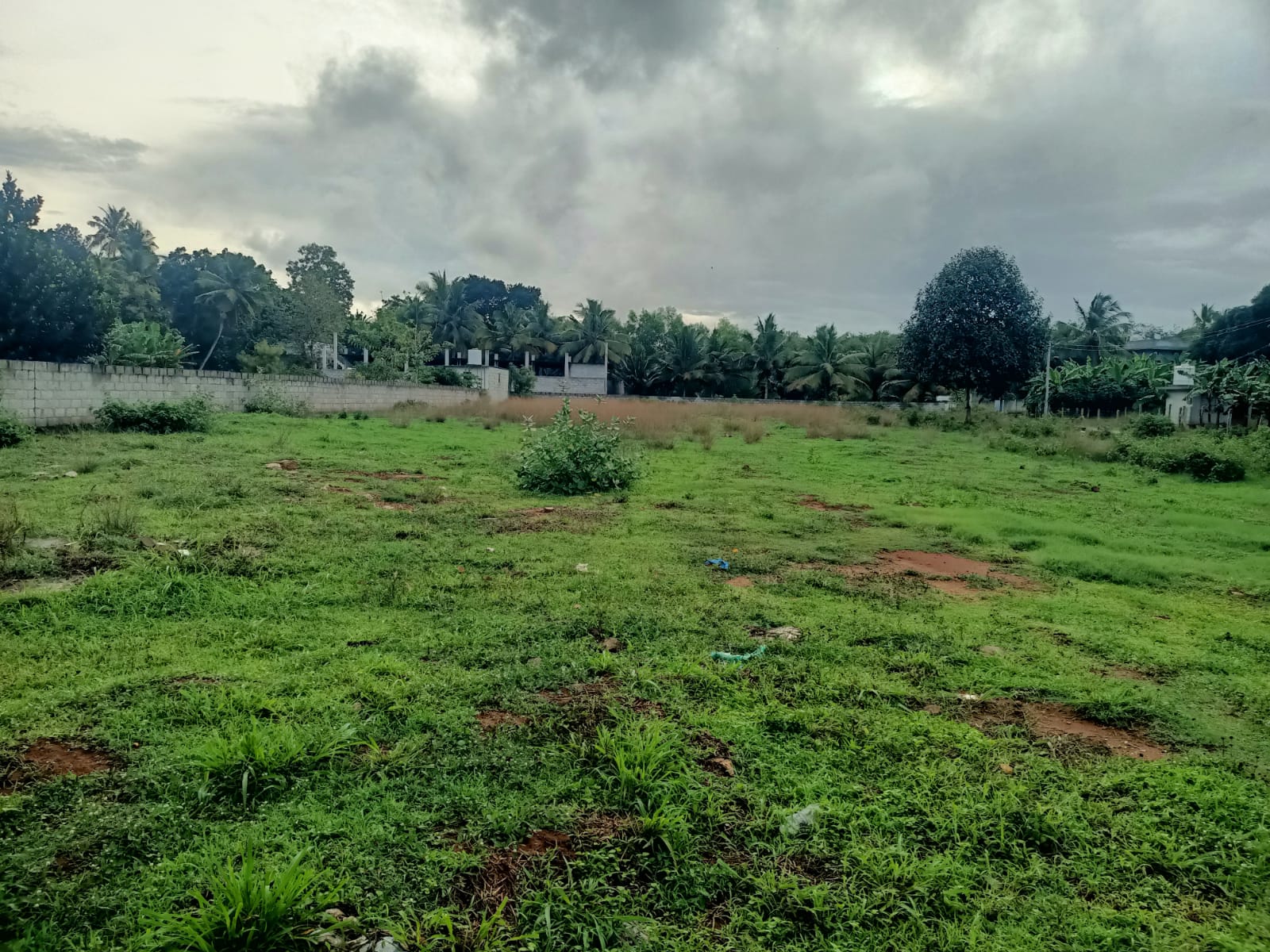 82 Cent Residential Plot for sale in Thazhayamkottai (Thengapattanam to Karunkal Road)