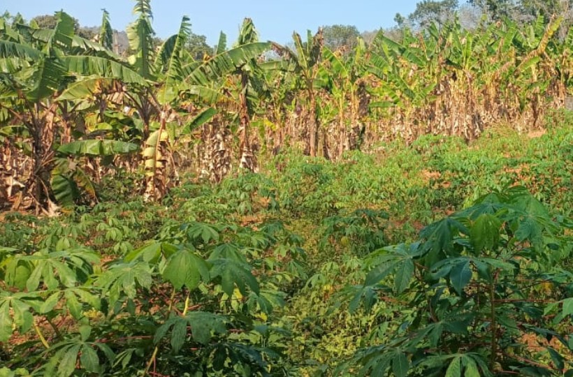 9.25 Cent Residential  Plot for sale in  Kaliyal