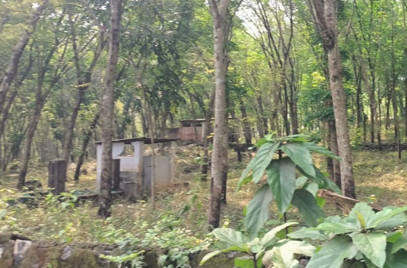 9 acres Agri (Rubber Trees) & Residential Land for sale in Surulacode