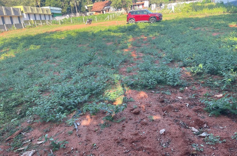 House Plot for sale in Devicode - 33 Cent