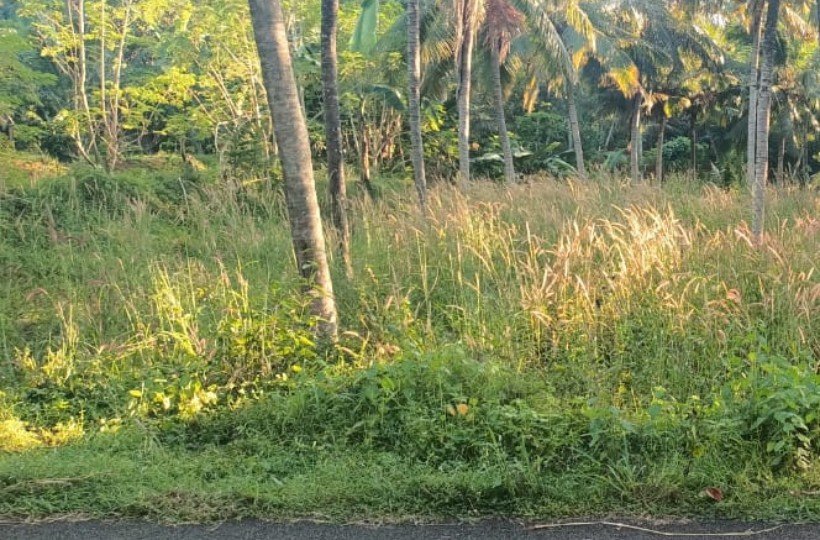 House Plot For Sale in Vizhunthayampalam. 50 Cent