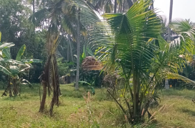 Land for Sale in Anjukannukalungu